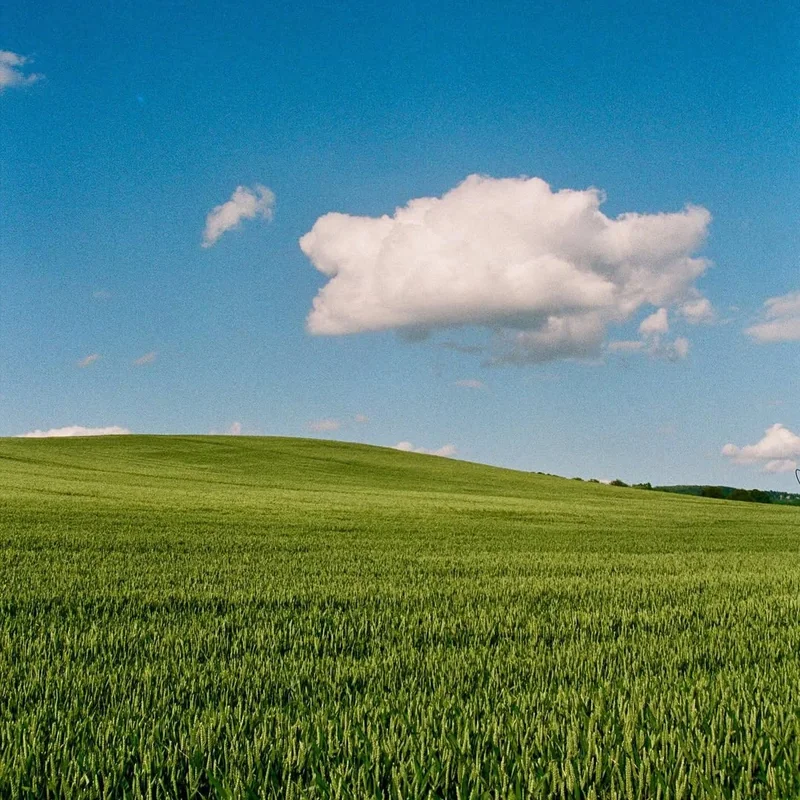 A single cloud above a green field